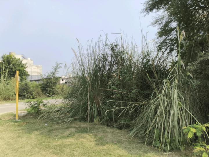Sector 2 Greater Noida West, Noida Extension Main Image 1