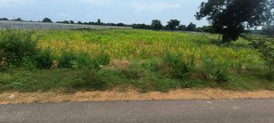 Image of 87120 Sq.ft Residential Plot / Land for sale in Chevella, Hyderabad for Rs. 27500000