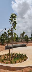 Residential Plot