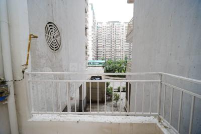 Balcony Image of 1294 Sq.ft 3 BHK Apartment / Flat for sale in Supertech Ecociti, Sector 137 Noida for Rs. 13500000