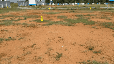 Residential Plot
