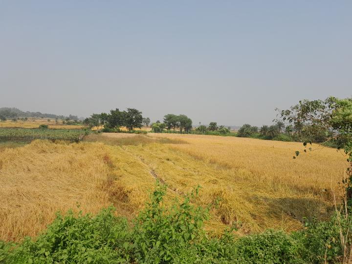 Sanbandha Main Image 1