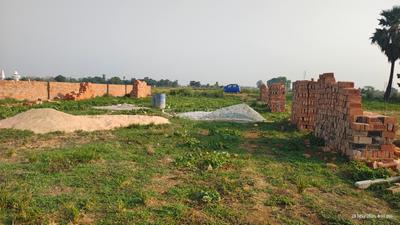 Bihta Plot View 3