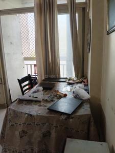 Bedroom Image of 920 Sq.ft 2 BHK Apartment / Flat for rent in Amrapali Castle, Chi V Greater Noida for Rs. 25000
