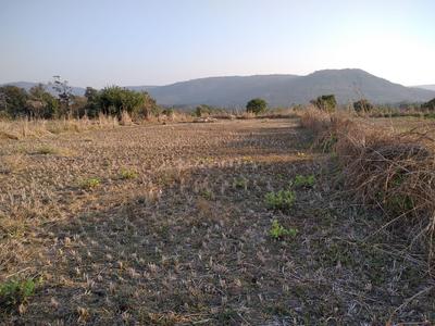 Residential Plot