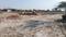Investment Hotspot in Lucknow near Raibareli road Plot View 2