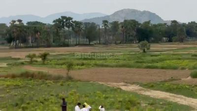Image of 1200 Sq.ft Residential Plot / Land for sale in Rajgir, Nalanda for Rs. 1250000