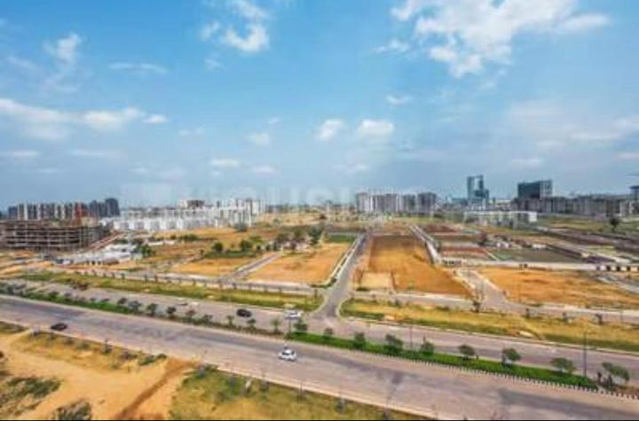 G And G Amolik Blossom Woods Main Image 1