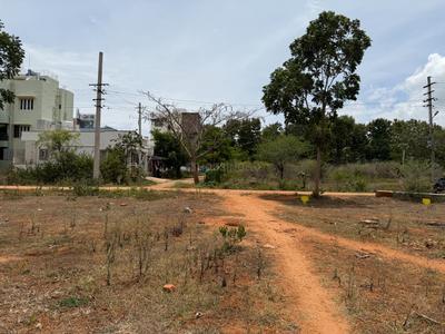 Karle Habitat Plot View 2