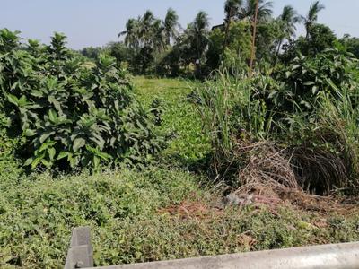 Image of 2500 Sq.ft Residential Plot / Land for sale in Brajalalchak, Haldia for Rs. 31000000