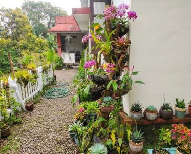 Image of 2250 Sq.ft 3 BHK Independent House for sale in Mylapra Part, Pathanamthitta for Rs. 4500000