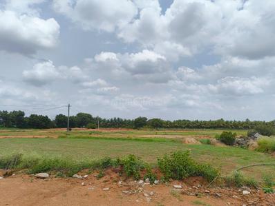 Image of 1800 Sq.ft Residential Plot / Land for sale in Raviryal, Hyderabad for Rs. 7000000
