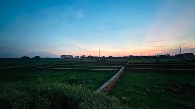Harhua Plot View 2