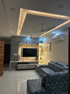 Hall Image of 1250 Sq.ft 8 BHK Independent House for sale in Najafgarh New Delhi for Rs. 26000000