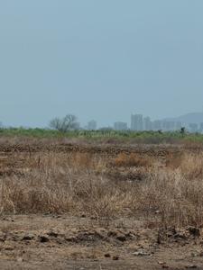 Mahamumbai Plots In Sarde Plot View 3