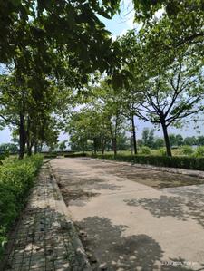Image of 2000 Sq.ft Residential Plot / Land for sale in Khopoli, Navi Mumbai for Rs. 8500000