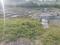 Bamheta Village Plot View 1