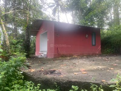 Image of 3000 Sq.ft 4 BHK Farm House for sale in Rajakkad, Idukki for Rs. 26000000
