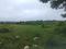 Vindhane Main Image 1
