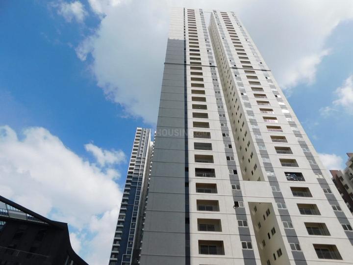 Candeur 40 Main Image 1