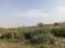 Greater Noida Yamuna Expressway Sector 20 Main Image 1