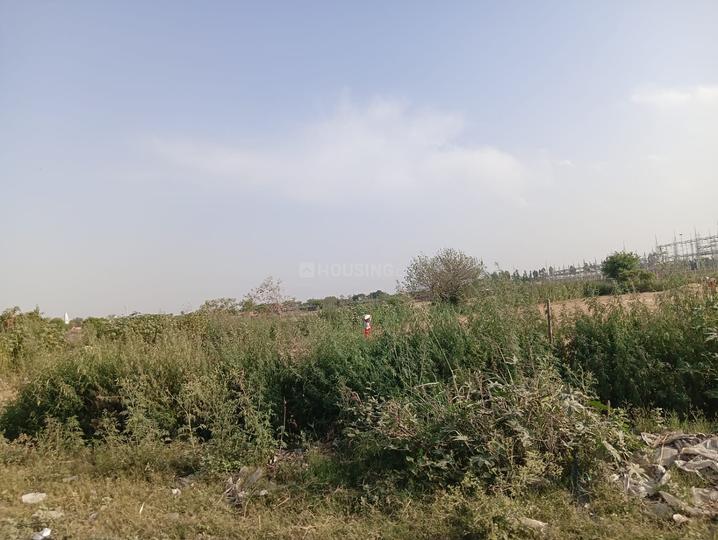 Greater Noida Yamuna Expressway Sector 20 Main Image 1