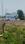 Badasi Green Main Image 1