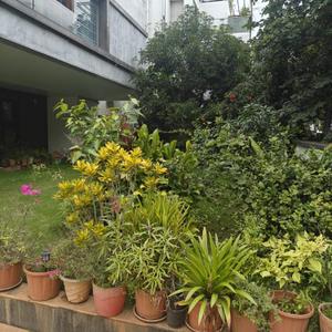 Balcony Image of 12000 Sq.ft 4.5 BHK Independent House for rent in Judicial Layout Bengaluru for Rs. 350000