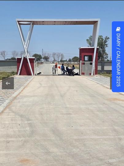 Golden Pride Main Image 1