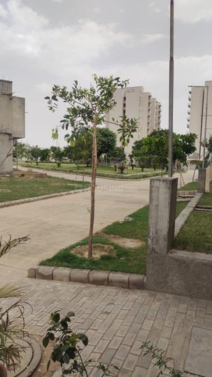 Pardos Okas Enclave 1 Main Image 1