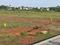 Redhills Plot View 2