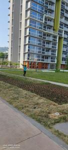 Image of 600 Sq.ft 1 BHK Apartment / Flat for rent in Tata Serein Phase 1, Thane West, Thane for Rs. 35000