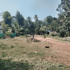 Image of 1214 Sq.ft Residential Plot / Land for sale in Koliyakode, Thiruvananthapuram for Rs. 7500000