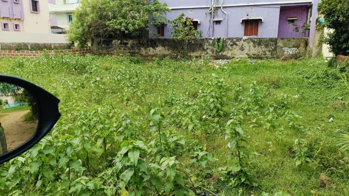 Shankarpur Main Image 1