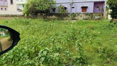 Shankarpur Plot View 1