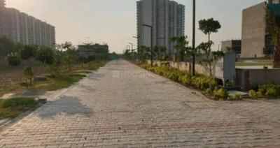 JMS The Pride Plot View 2