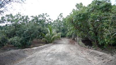 Image of 10890 Sq.ft Residential Plot / Land for sale in Kinathukadavu, Coimbatore for Rs. 7500000