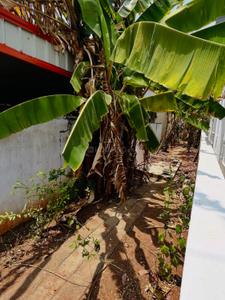 Image of 700 Sq.ft 2 BHK Independent House for sale in Maraimalai Nagar, Chennai for Rs. 2887000