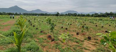 Bhogapuram More Images 1