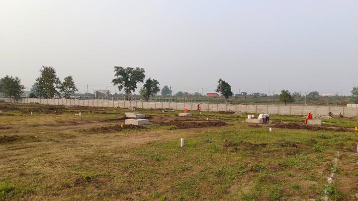 Oshian Flora Greens Main Image 1