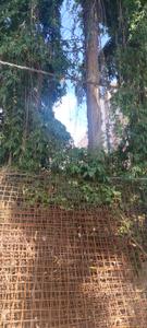 Image of 4000 Sq.ft Residential Plot / Land for sale in Brookefield, Bengaluru for Rs. 80000000
