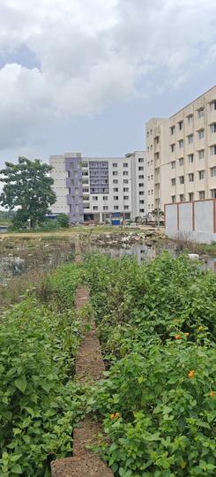 K8 Kalinga Nagar Main Image 1