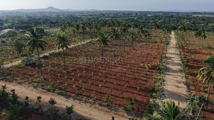 Devanahalli Main Image 1