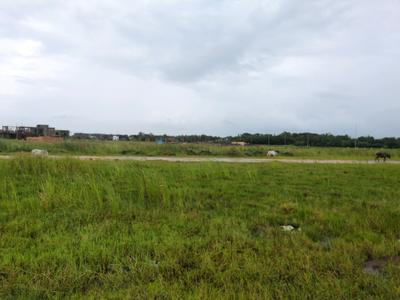 Image of 1440 Sq.ft Residential Plot / Land for sale in Swapnabhumi, New Town, Kolkata for Rs. 3548787