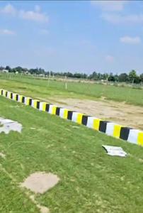 Magrahua Plot View 2