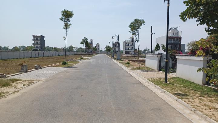 Central Park Flower Valley Main Image 1