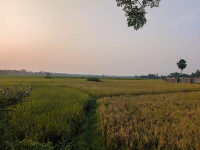 Image of 720 Sq.ft Residential Plot / Land for sale in New Town, Kolkata for Rs. 1300000