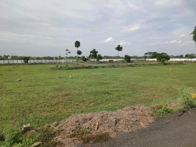 Residential Plot