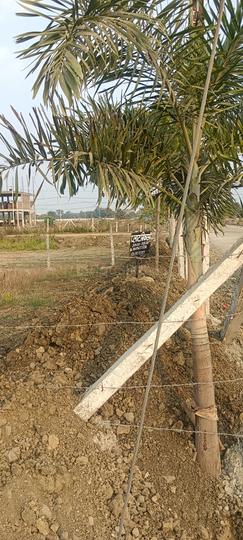 Ayodhya Dham parisar  Main Image 1