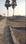 Katesar Main Image 1